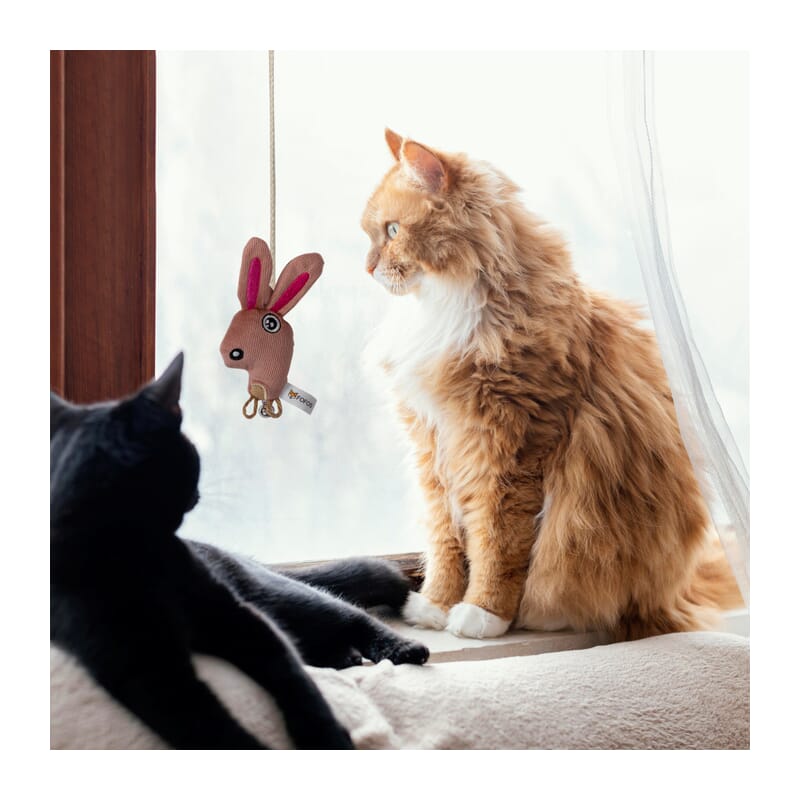 Fofos Bunny Cat Wand Toy - Wagr Petcare
