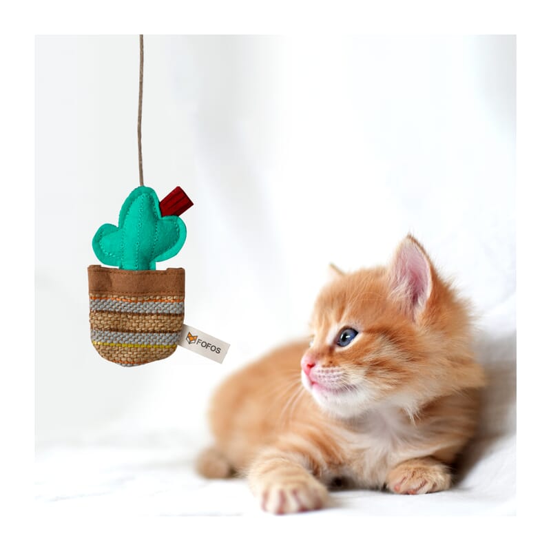 Fofos Cactus Wand Phoenix Cat Toys - Wagr Petcare
