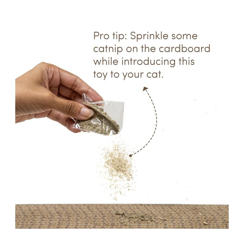 Fofos Comic String Scratcher Cat Toy - Wagr Petcare