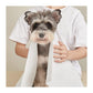 Fofos Disposable Pet Towel for Dogs - Wagr Petcare