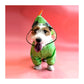 Fofos Dog Raincoat - Wagr Petcare