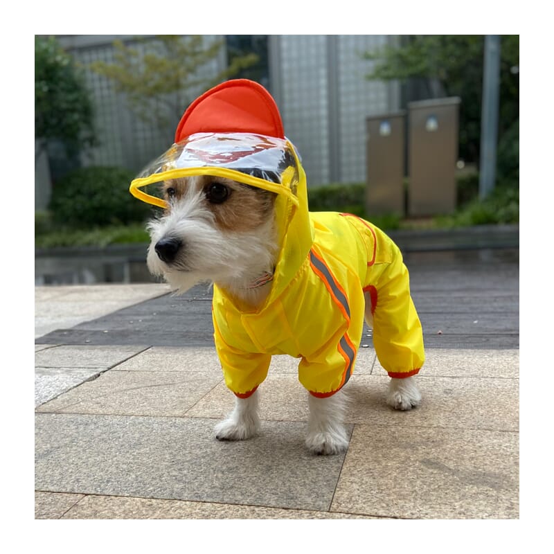 Fofos Dog Raincoat - Wagr Petcare