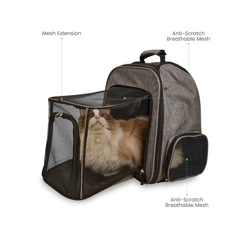 Fofos Expandable Backpack Pet Carrier - Wagr Petcare