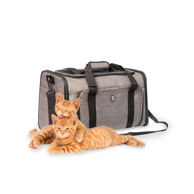 Fofos Expandable Foldable Pet Carrier - Wagr Petcare