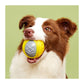 Fofos Flexy Ball Ultra Bounce Dog Toy - Wagr Petcare