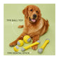 Fofos Flexy Bone Dog Chew Toy - Wagr Petcare