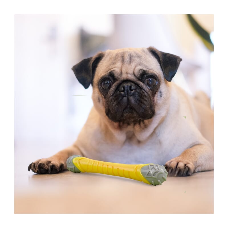 Fofos Flexy Bone Dog Chew Toy - Wagr Petcare