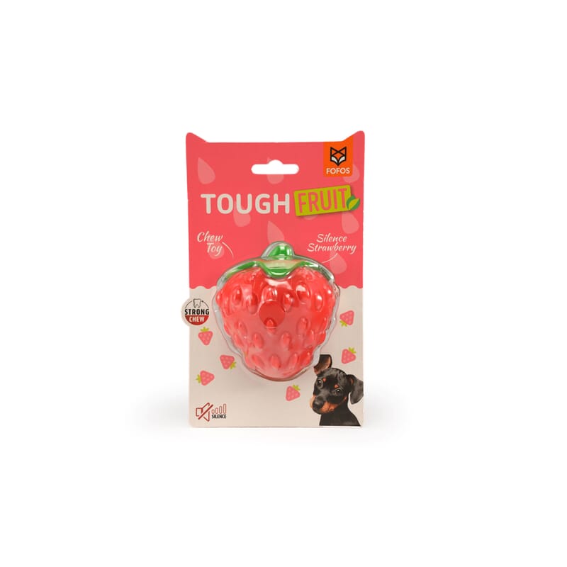 Fofos Fruity-Bites Squeaky Dog Chew Toy - Wagr Petcare