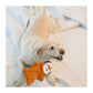 Fofos Glove Plush Fox Dog Toy - Wagr Petcare