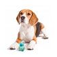 Fofos Latex Bi Ape Dog Toy - Wagr Petcare