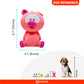 Fofos Latex Bi Pig Dog Toy - Wagr Petcare
