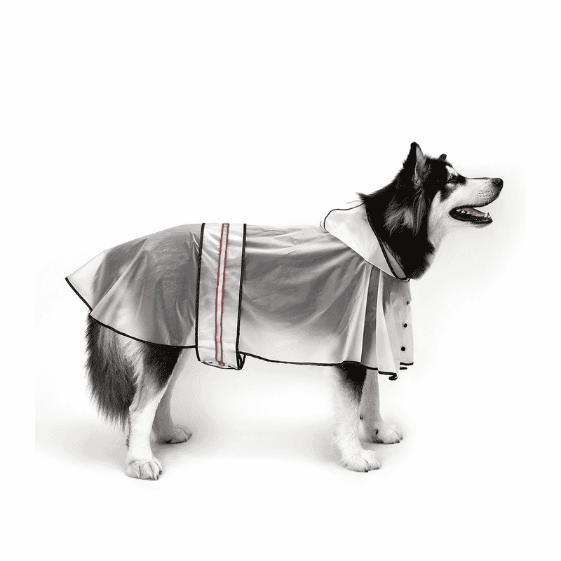 Fofos Pet Dog Raincoat - Wagr Petcare