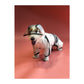 Fofos Pet Four Leg Dog Raincoat - Wagr Petcare