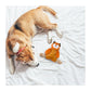 Fofos Ropeleg Plush Bear Dog Toy - Wagr Petcare