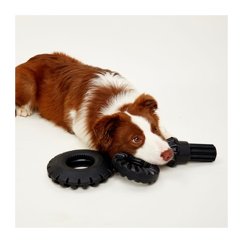 Fofos Tyre Dog Chew Small Toy - Wagr Petcare