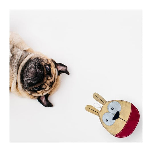 Forfurs Dog face Leather Dog Toy - Wagr - The Smart Petcare Platform