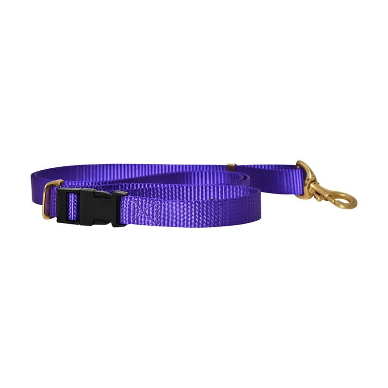 Forfurs Extra Long Adjustable Multifunctional Leash - Wagr - The Smart Petcare Platform