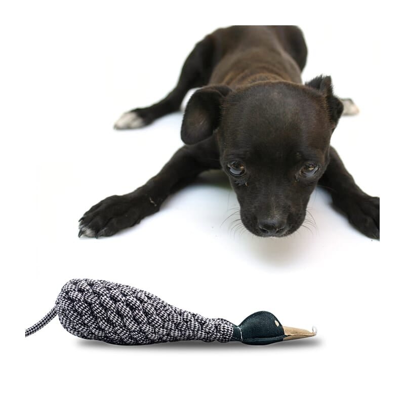 Forfurs Knotty Crinkle Duck Rope and Leather Dog Toy - Wagr - The Smart Petcare Platform