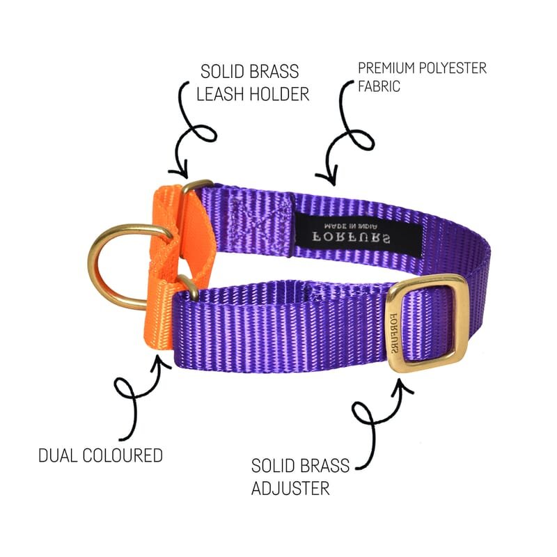 Forfurs Martingale Collar - Wagr - The Smart Petcare Platform