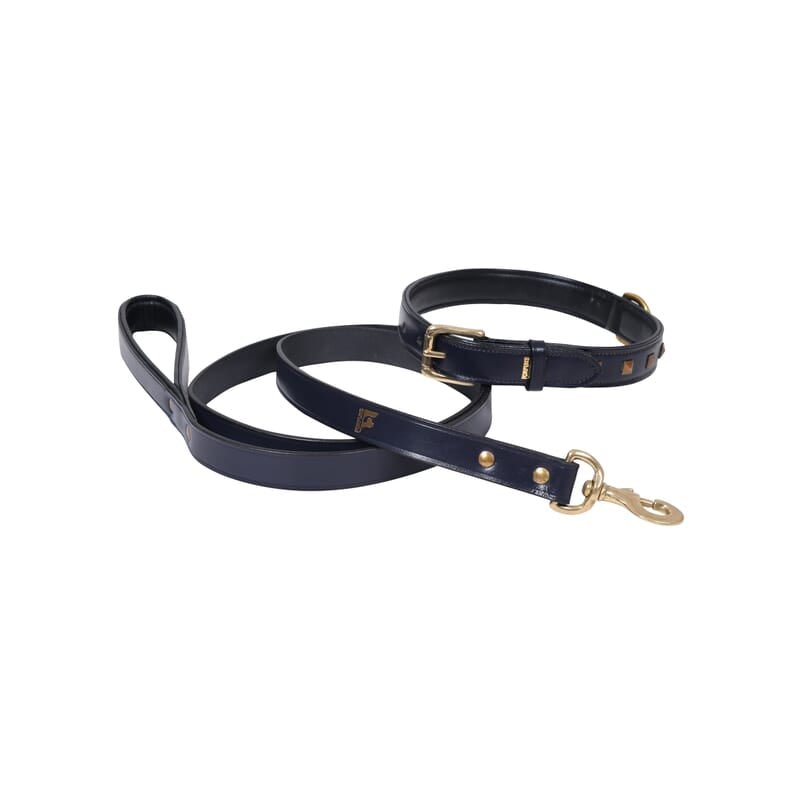 Forfurs Padded Leather Dog Leash - Wagr - The Smart Petcare Platform