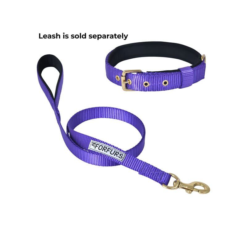 Forfurs Pin Buckle Dog Collar Neck Belt for Cats and Dogs - Wagr - The Smart Petcare Platform