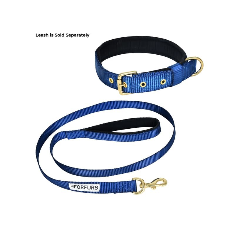 Forfurs Pin Buckle Dog Collar Neck Belt for Cats and Dogs - Wagr - The Smart Petcare Platform
