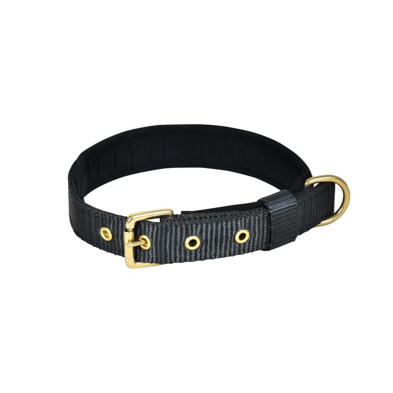 Forfurs Pin Buckle Dog Collar Neck Belt for Cats and Dogs - Wagr - The Smart Petcare Platform