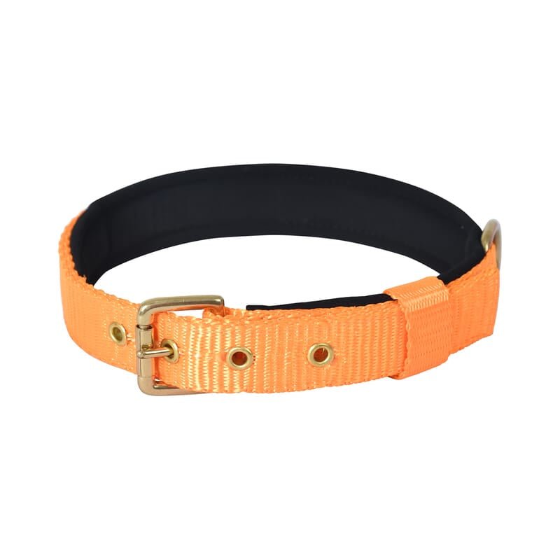 Forfurs Pin Buckle Dog Collar Neck Belt for Cats and Dogs - Wagr - The Smart Petcare Platform