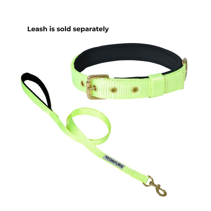 Forfurs Pin Buckle Dog Collar Neck Belt for Cats and Dogs - Wagr - The Smart Petcare Platform