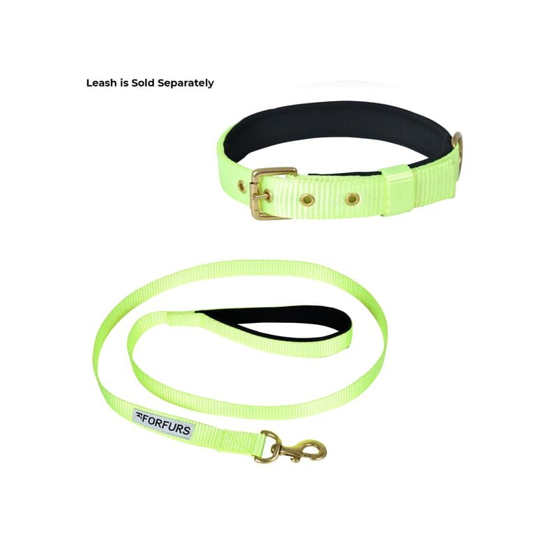 Forfurs Standard Dog Leash with Padded Handle - Wagr - The Smart Petcare Platform