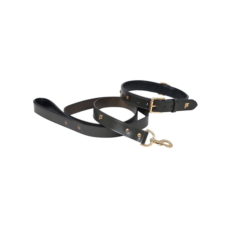 Forfurs Studded Leather Dog Collar - Wagr - The Smart Petcare Platform