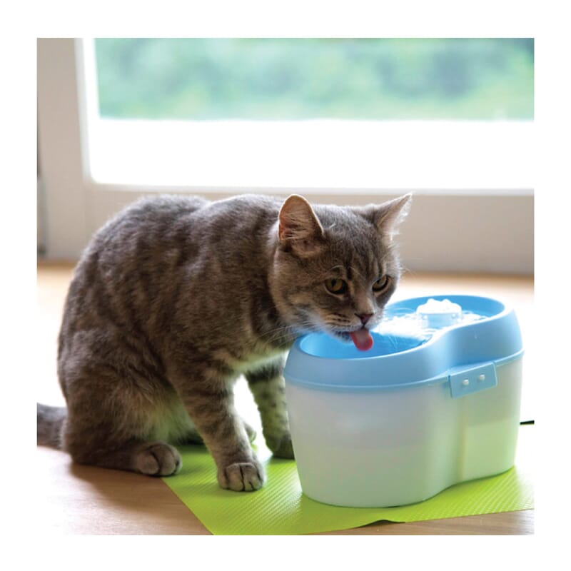 Goofy Tails 2 Litre Cat H2O Water Fountain - Wagr - The Smart Petcare Platform