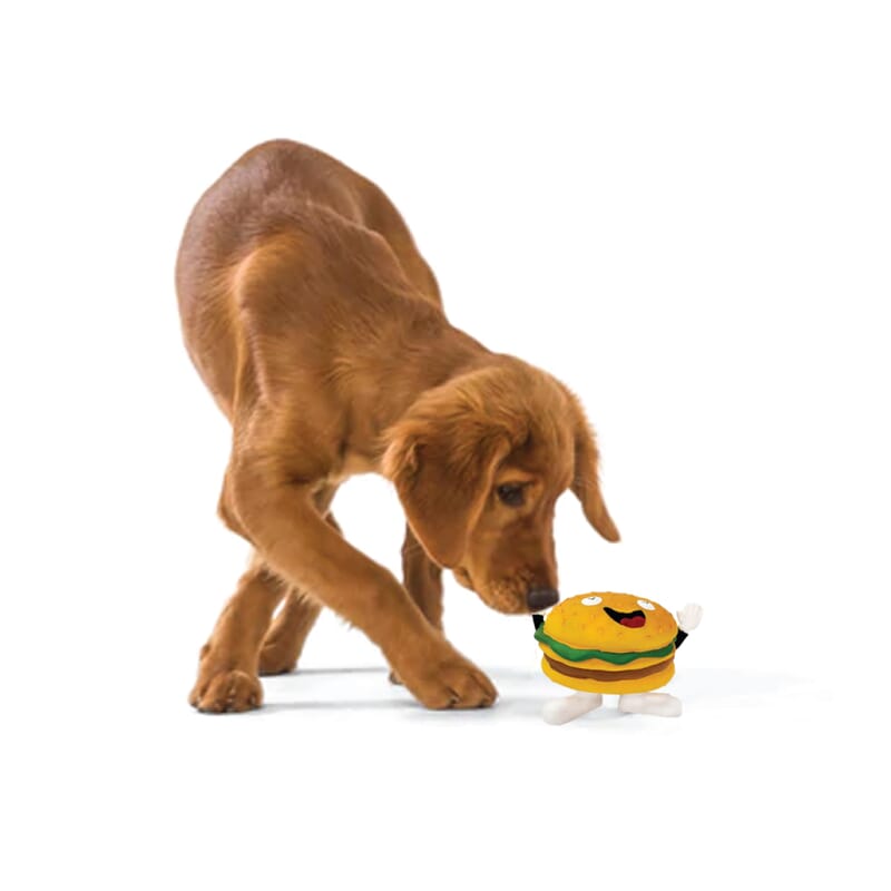Goofy Tails Burger Latex Squeaky Dog Toy (Yellow) - Wagr - The Smart Petcare Platform
