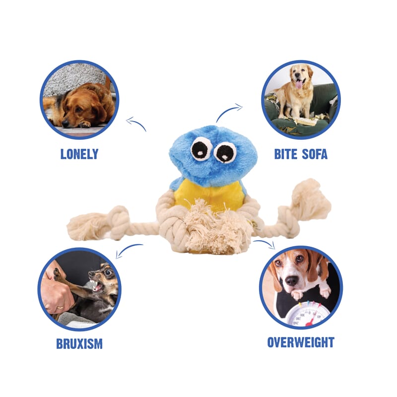 Goofy Tails Daffy The Bird Bottle Cruncher Rope Toy for Dogs - Wagr - The Smart Petcare Platform