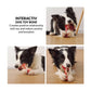 Goofy Tails Extreme Chew Bone Toy for Dogs - Wagr - The Smart Petcare Platform