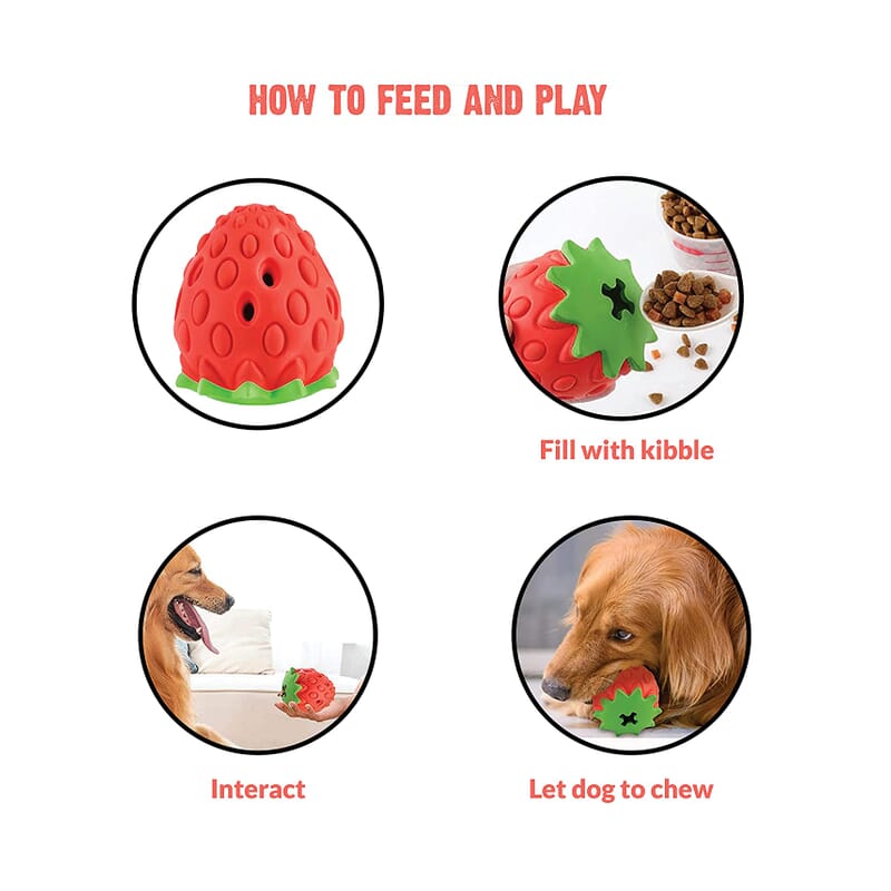 Goofy Tails Fruity Bites Strawberry Dog Toy - Wagr - The Smart Petcare Platform