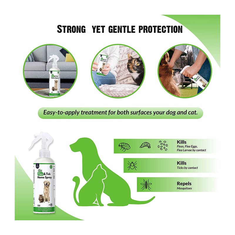 Goofy Tails Natural Anti Tick and Flea Spray for Dog and Cats - Wagr - The Smart Petcare Platform