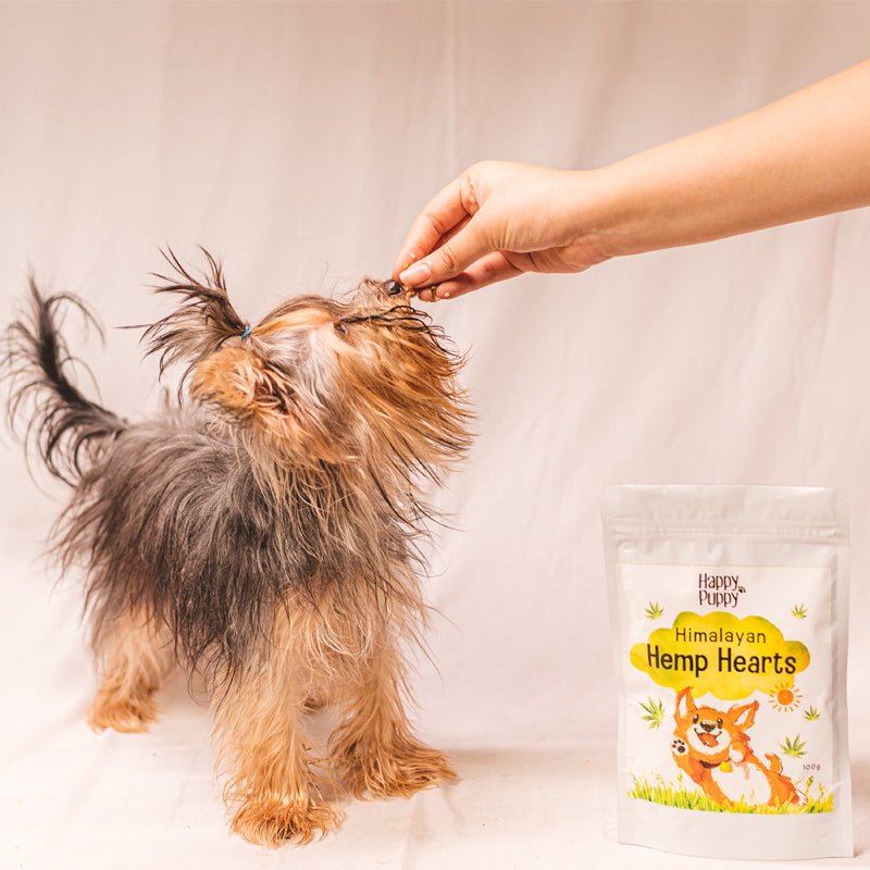 Happy Puppy Organics Hemp Hearts - Wagr - The Smart Petcare Platform