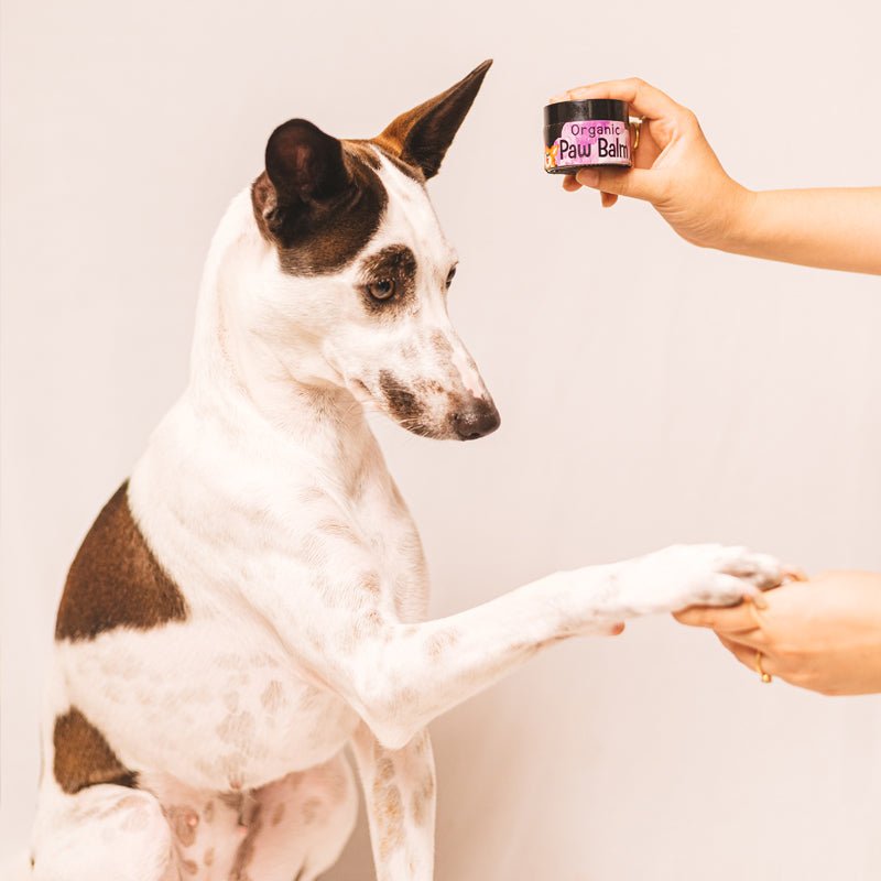 Happy Puppy Organics Paw Balm - Wagr - The Smart Petcare Platform