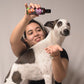 Happy Puppy Organics Shiny Fur Spa Oil 100ml - Wagr - The Smart Petcare Platform