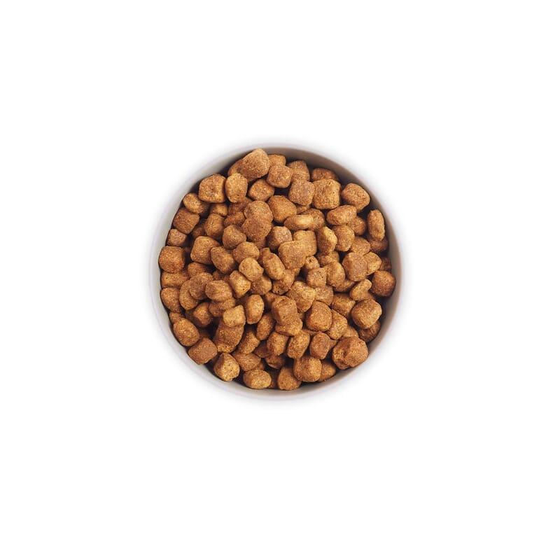 Heka Grain Free Salmon, Potatoes & Peas Dry Dog Food - Wagr Petcare