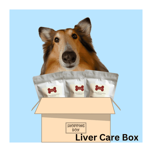 Liver Care Box for Dogs - The Barkery by NV - Wagr Petcare