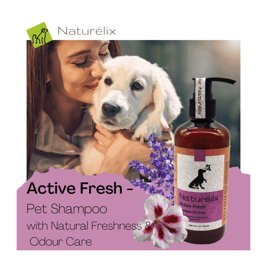 Naturelix Active Fresh Dog Shampoo-Odour Control Shampoo for Dogs, 300ml - Wagr - The Smart Petcare Platform