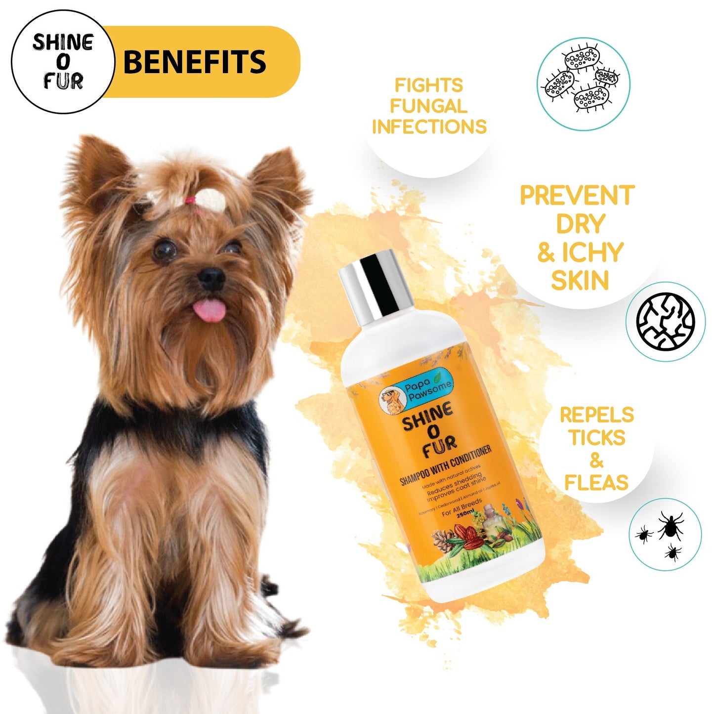 Papa Pawsome Shine O' Fur Shampoo with Conditioner for Dogs, 250ml - Wagr - The Smart Petcare Platform