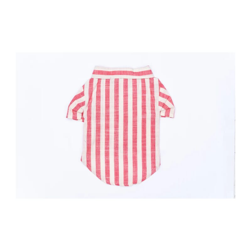 Pawgy Pets Candy Cane Stripes Shirt - Wagr Petcare