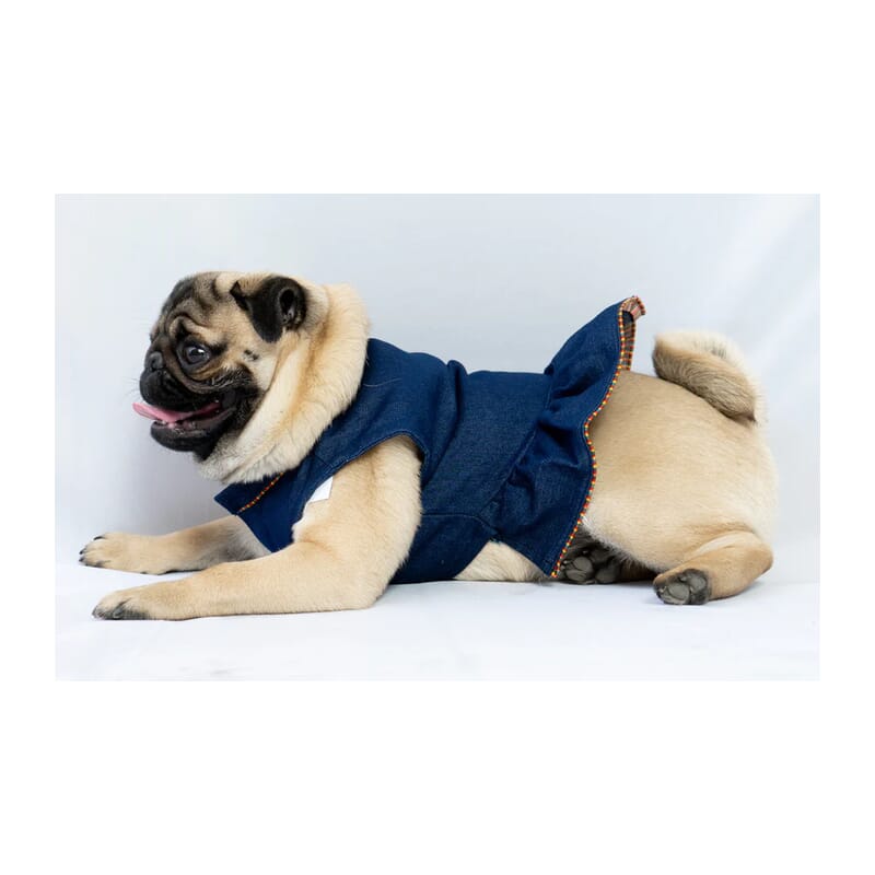 Pawgy Pets Denim Ruffle Dress for Dogs and Cats - Wagr Petcare
