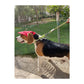 Pawgy Pets Dog Cap : Red with White Polka - Wagr Petcare