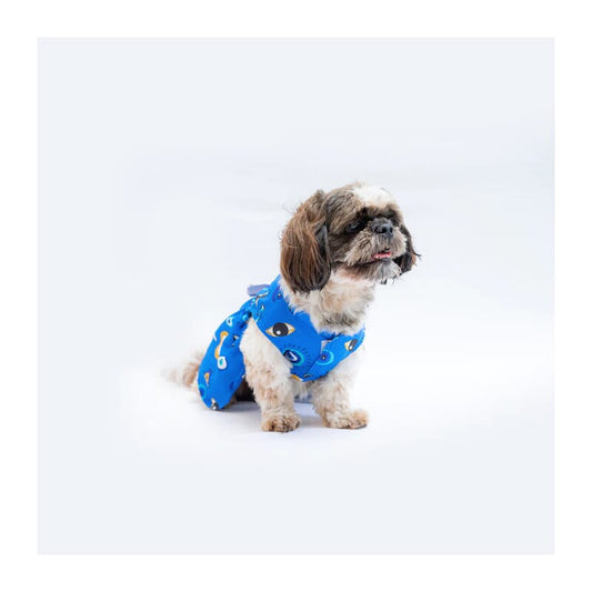 Pawgy Pets Evil Eye Dress - Wagr Petcare