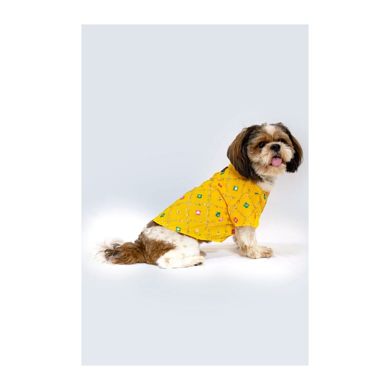 Pawgy Pets Festive Shirt for Pets - Wagr Petcare