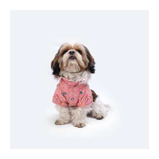 Pawgy Pets Festive Shirt for Pets - Wagr Petcare